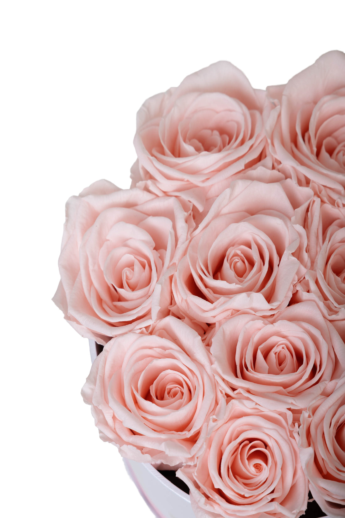 Warum konservierte Rosen das beste Luxusgeschenk in Wien sind