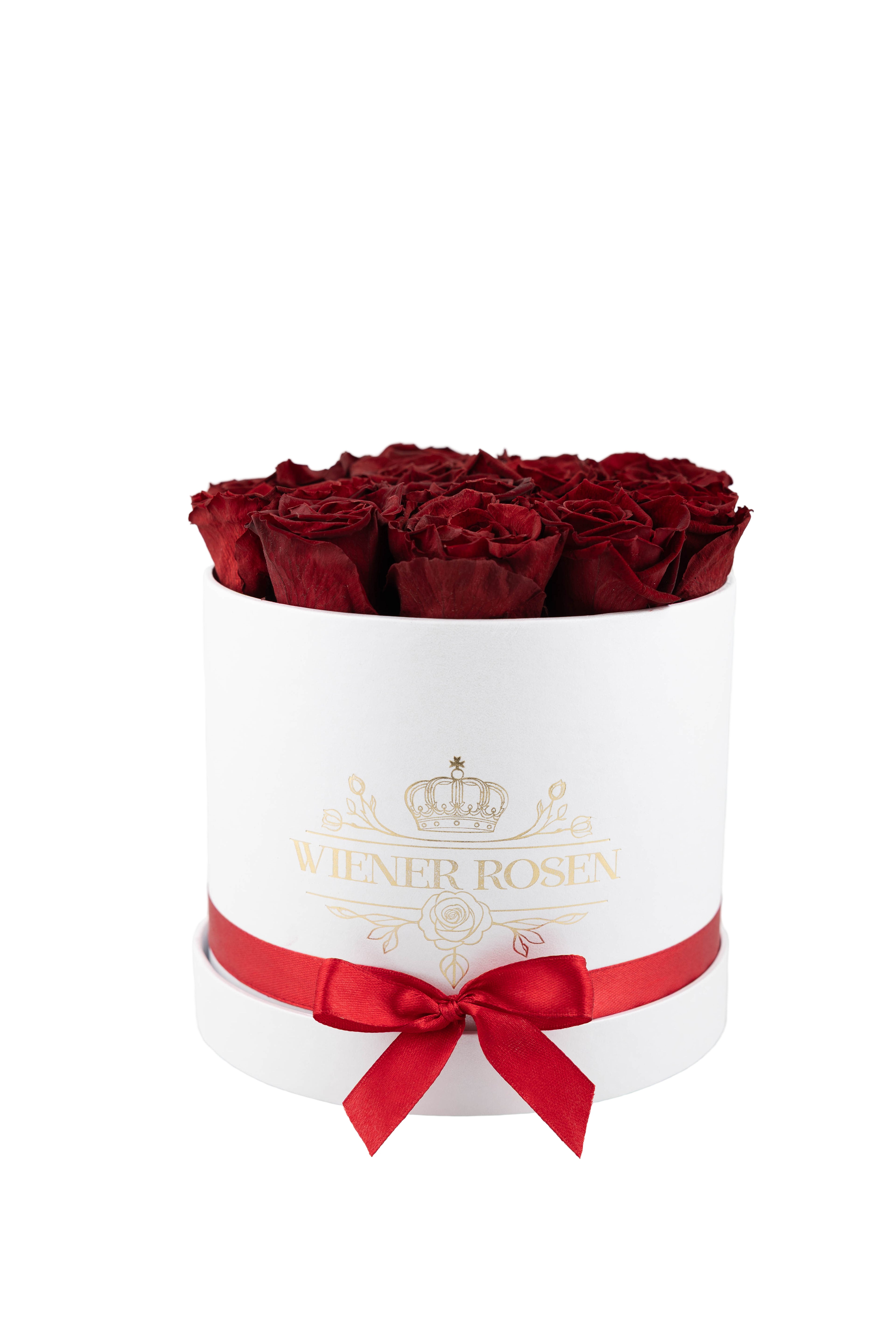 Weiße S-Box Burghundi