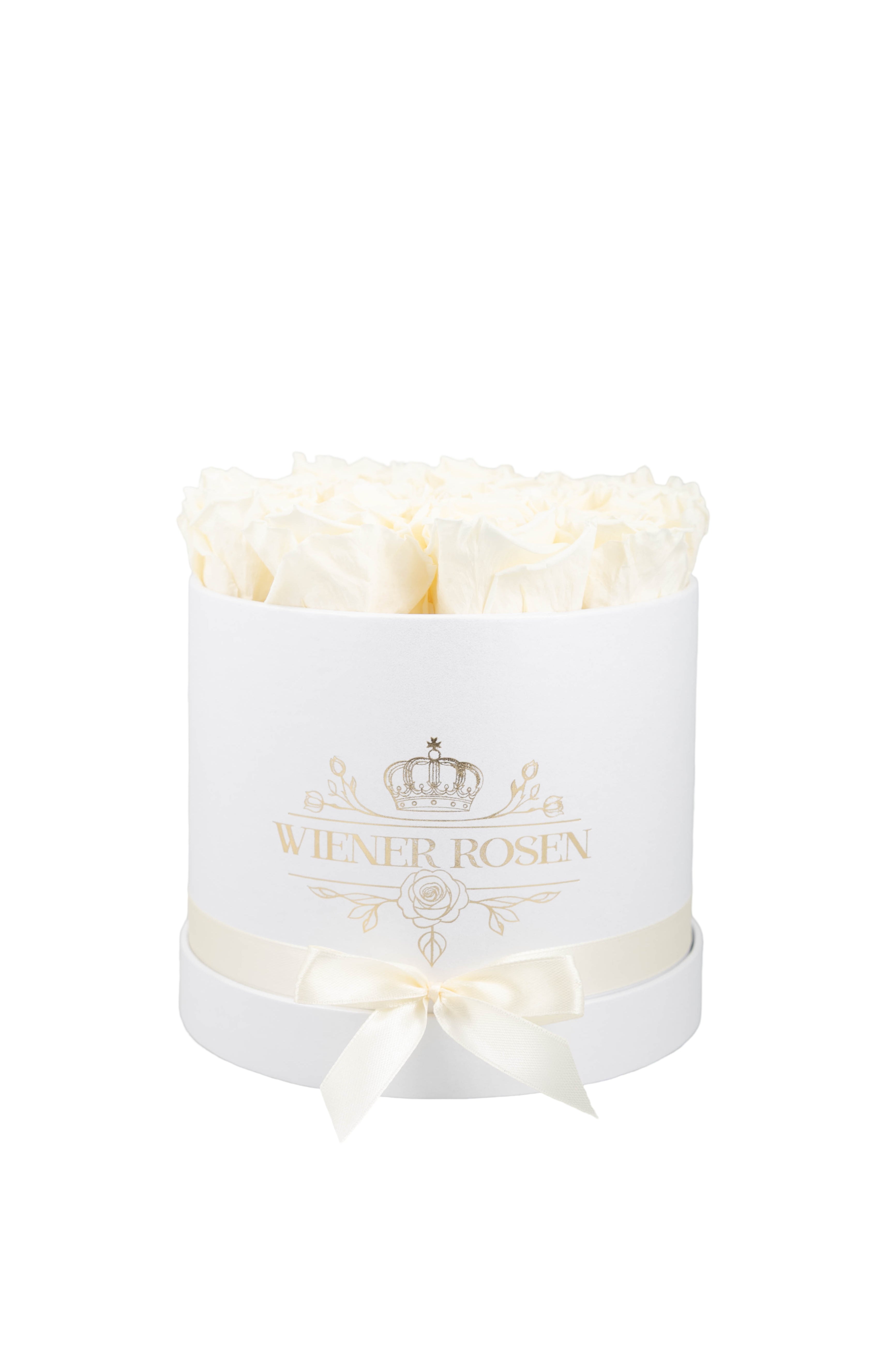 Weiße S-Box Pastell Yellow