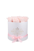 Weiße S-Box Pink