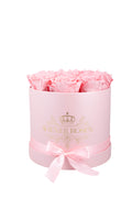 Pinke S-Box Pink