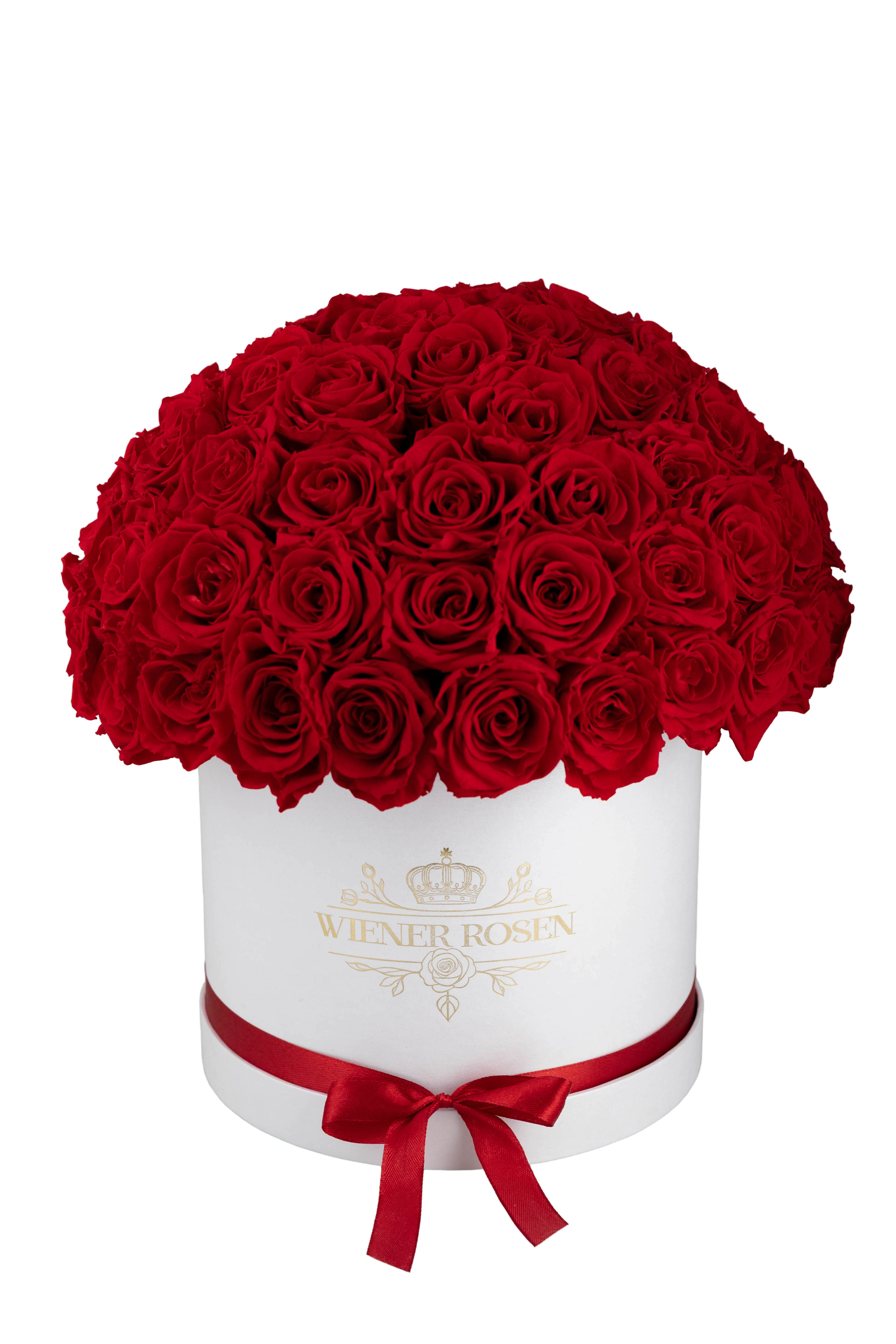 Weiße Kuppel-Box Rote